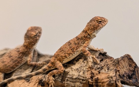 PXL_20260122_091809314~2