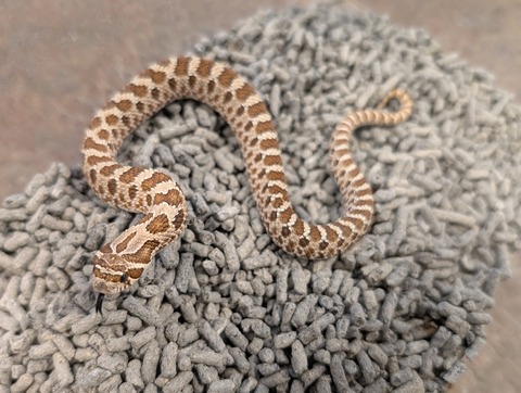 PXL_20250208_073714807~2