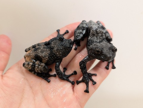 PXL_20250620_132805155~2