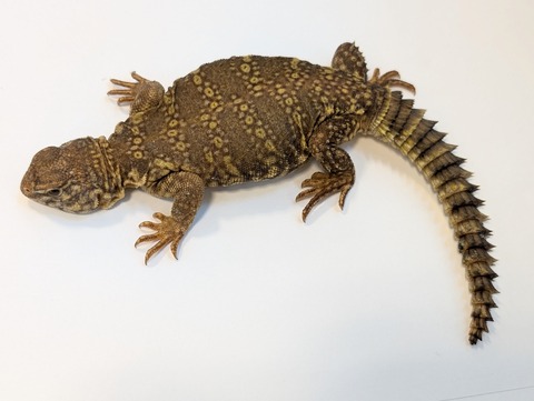 PXL_20250401_102528680~2