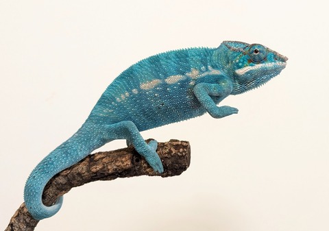 PXL_20251207_094833561~2