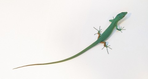 PXL_20250424_085504578~2