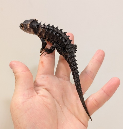 PXL_20250620_133518302~2