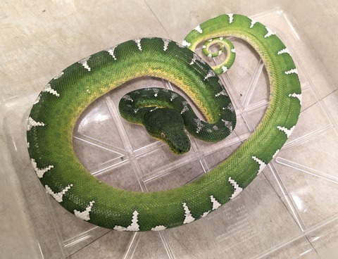 PXL_20260212_081515439~2