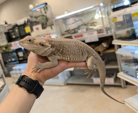 PXL_20241228_113955757~2