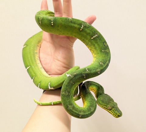 PXL_20250920_111937358~2