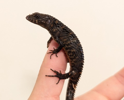 PXL_20260101_034801678