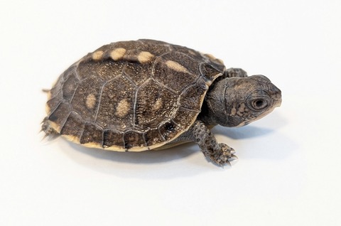 PXL_20251103_100412234~2