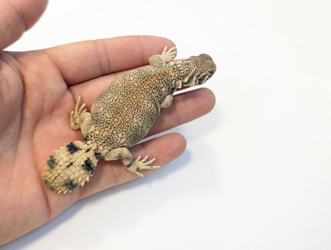 PXL_20250920_100310422~2