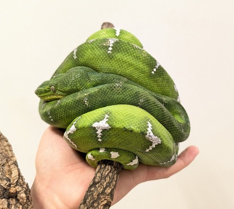 PXL_20250905_064038798~2