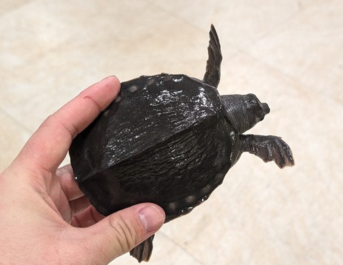 PXL_20260129_075644130~2