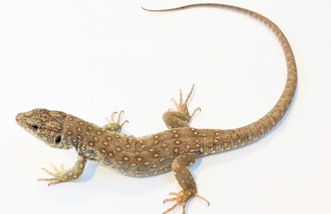 PXL_20250906_100709641~2