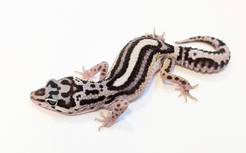 PXL_20250504_105542859~2