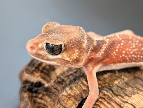 PXL_20250106_100811442~2