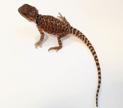 PXL_20250401_092311691~3