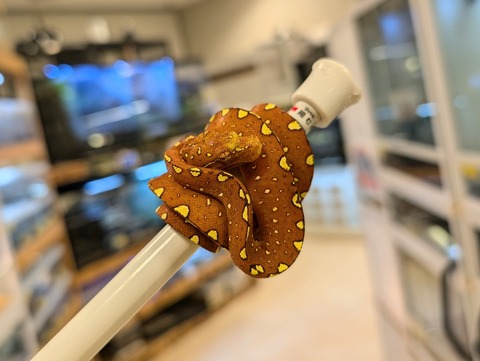 PXL_20241224_111342776~2