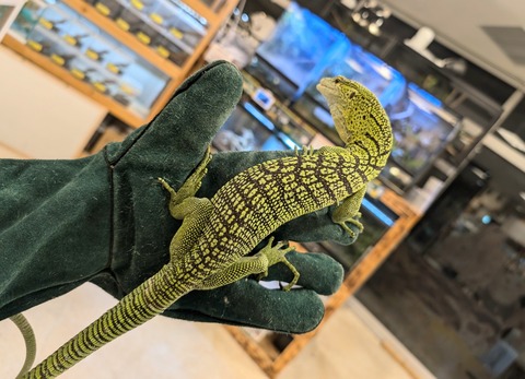 PXL_20250106_104810649~2