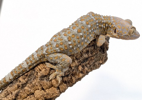 PXL_20251104_110551765~2