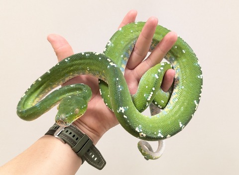 PXL_20250920_110700704~2