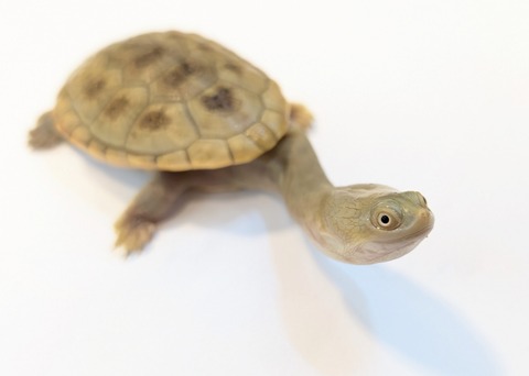 PXL_20250424_090027940~2