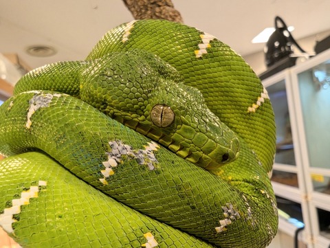 PXL_20241224_110228125~2