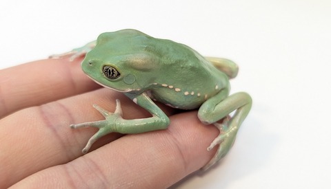 PXL_20251104_105715045~2