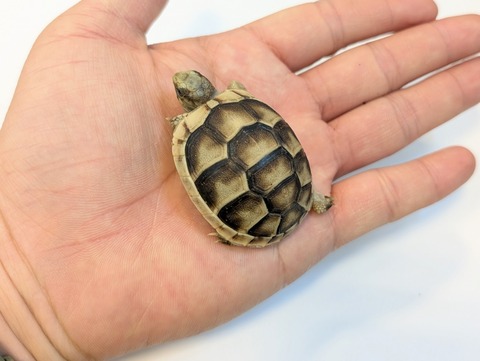 PXL_20250318_091635181~2