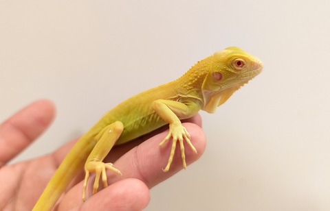 PXL_20250620_131206022~2