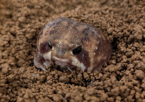 PXL_20251219_043155024