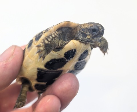 PXL_20251105_061623912~2