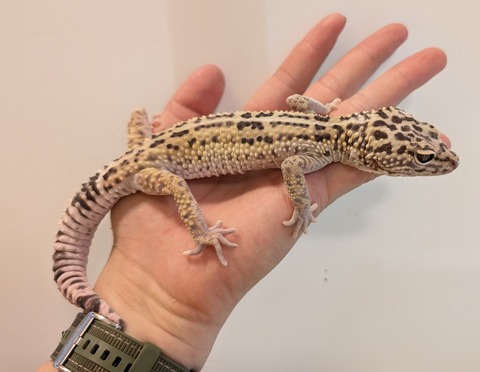 PXL_20260102_093213975~2