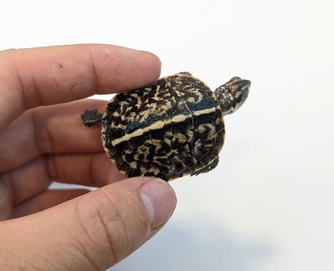 PXL_20251210_070102668~2