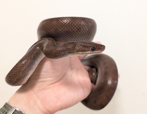 PXL_20250919_072220651~2