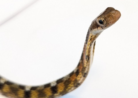 PXL_20250725_095611278~2