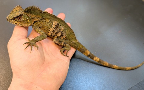 PXL_20250130_085918111~2