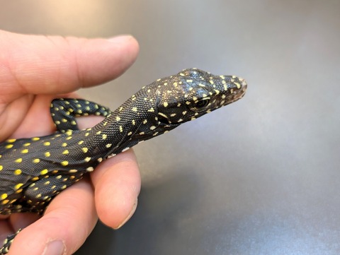 PXL_20250130_084931250~2