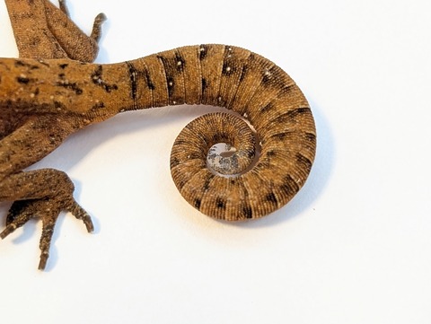 PXL_20250715_101030752~2