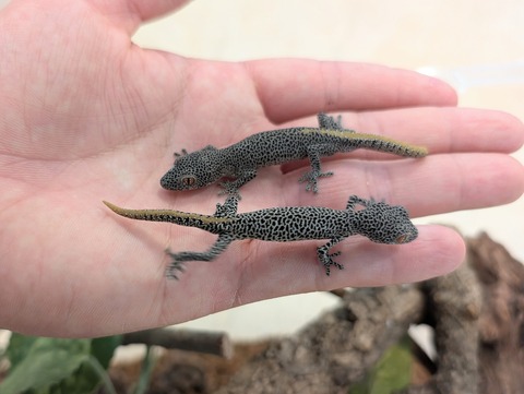 PXL_20250208_075140570~2