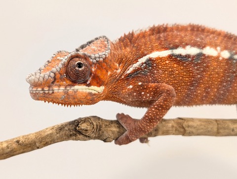 PXL_20250725_101349554~2