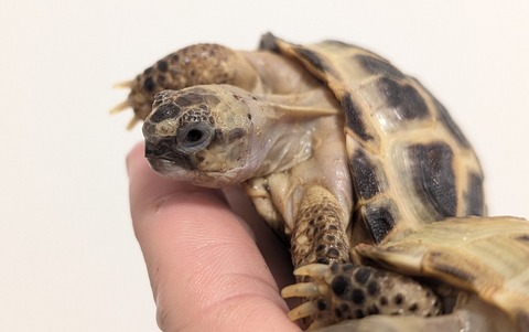 PXL_20260204_102126509~2