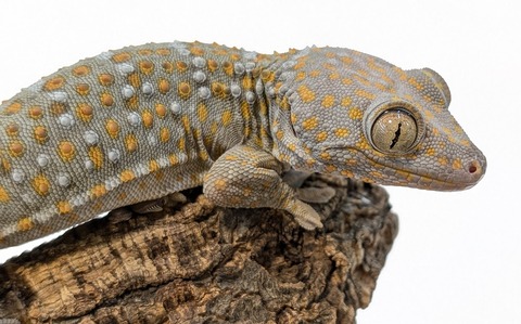 PXL_20251104_110545084~2