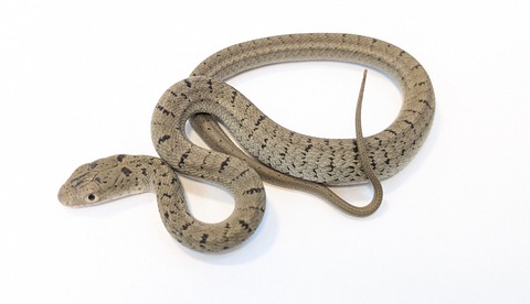 PXL_20251027_102912867~2