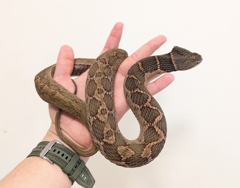 PXL_20250910_071644145~2