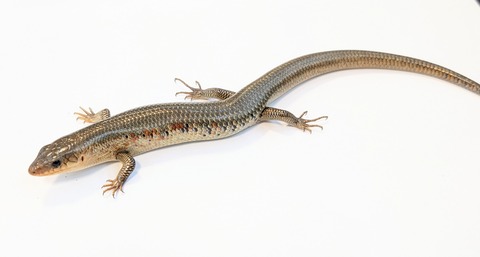 PXL_20251104_103733931~2