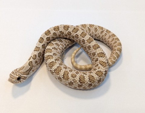 PXL_20251211_102827701~2