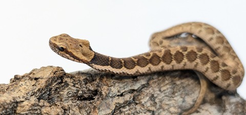 PXL_20251104_110254011~3