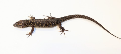 PXL_20250501_083834563~3