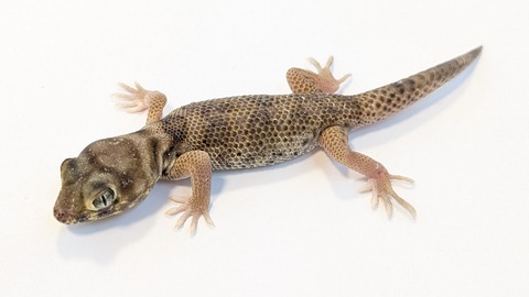 PXL_20251104_110053553~2