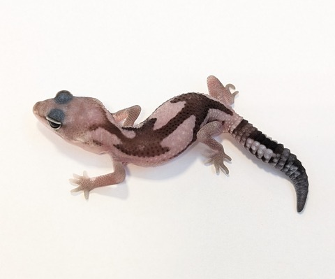 PXL_20250622_113857345~2