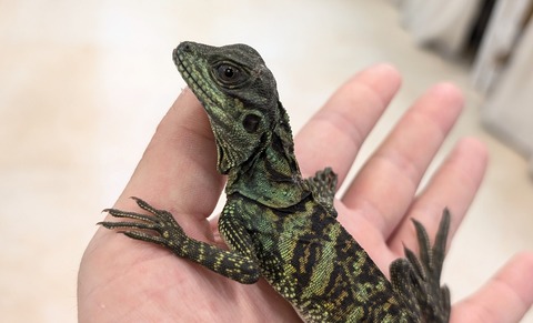 PXL_20251020_085408014~2